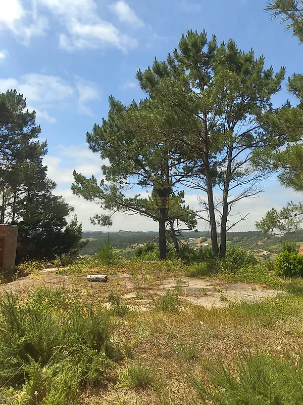 Moradia T1 à venda em Vidais, Caldas da Rainha — foto 21