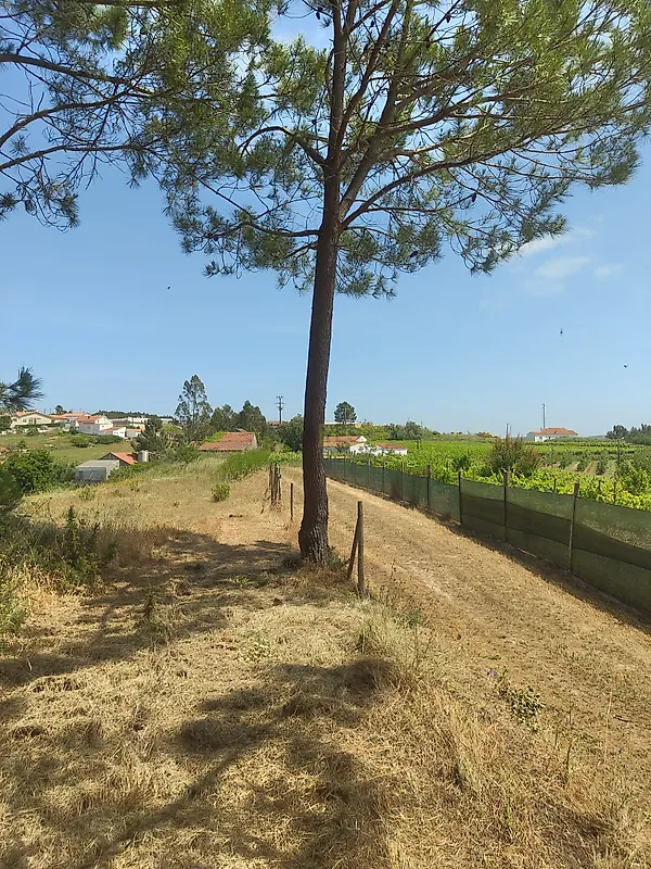 Moradia T1 à venda em Vidais, Caldas da Rainha — foto 22