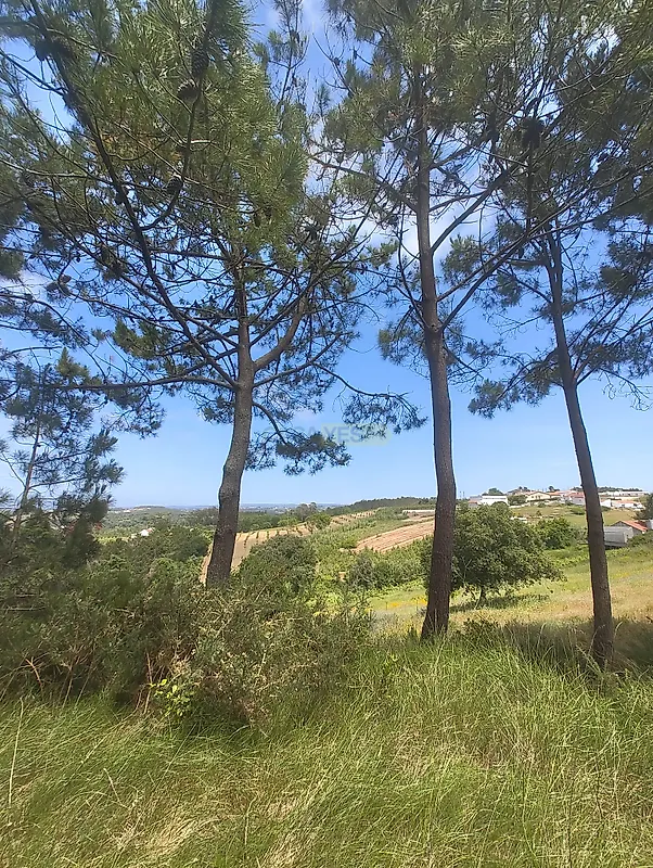 Moradia T1 à venda em Vidais, Caldas da Rainha — foto 24