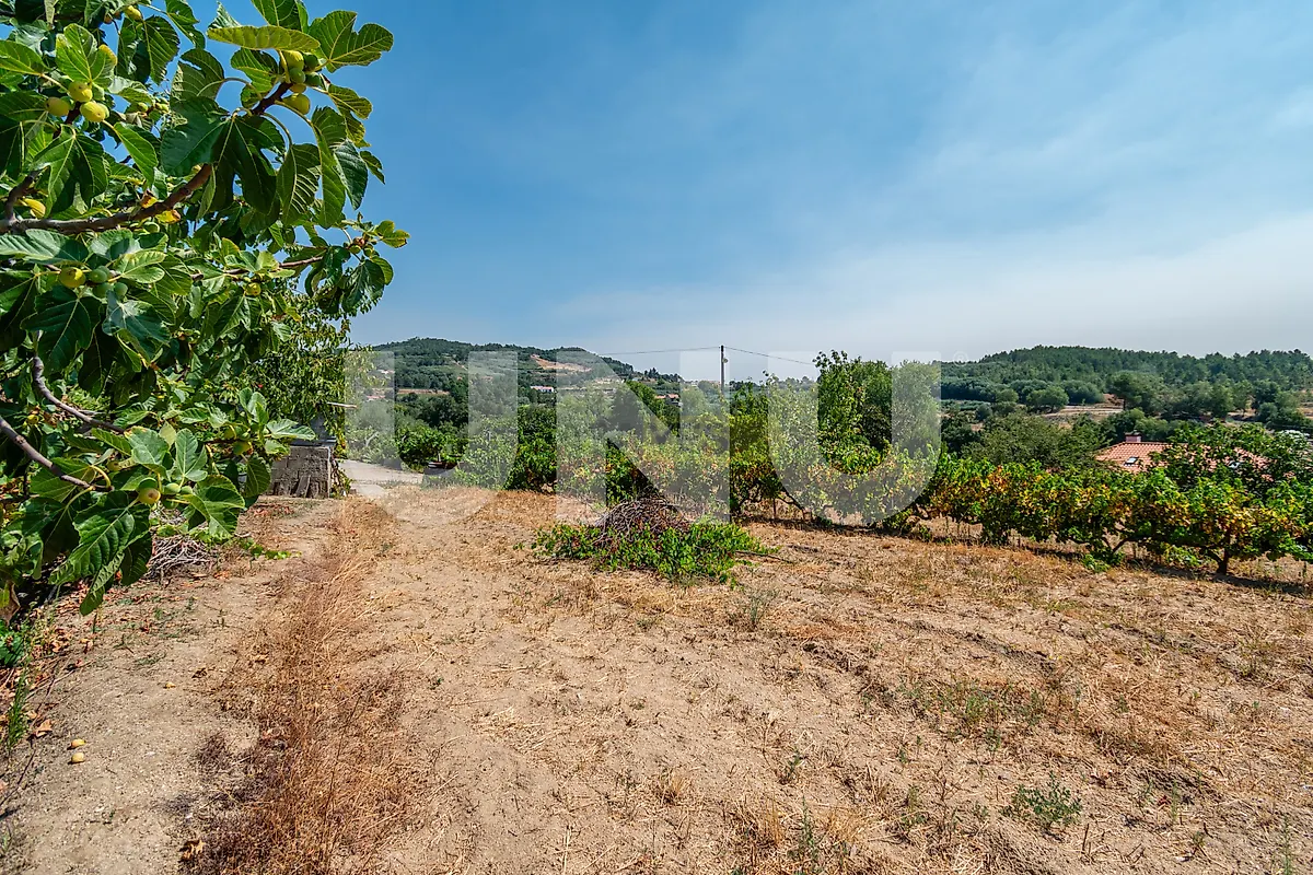 Moradia T3 à venda em Boidobra, Covilhã — foto 29
