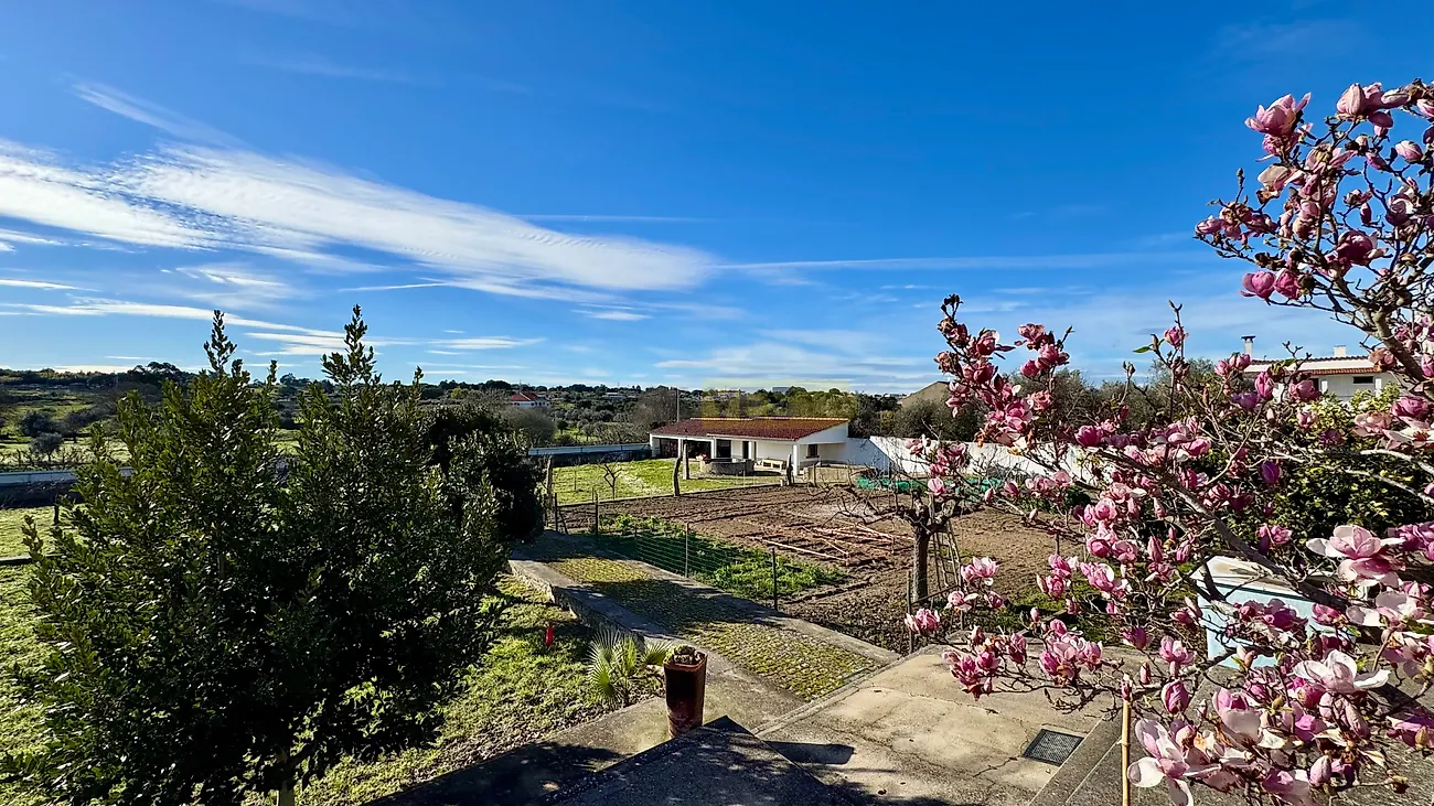 Moradia T5 à venda em Escalos de Baixo e Mata, Castelo Branco — foto 3