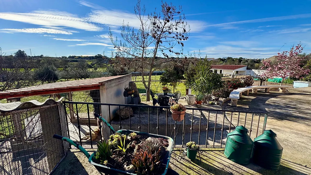 Moradia T5 à venda em Escalos de Baixo e Mata, Castelo Branco — foto 37