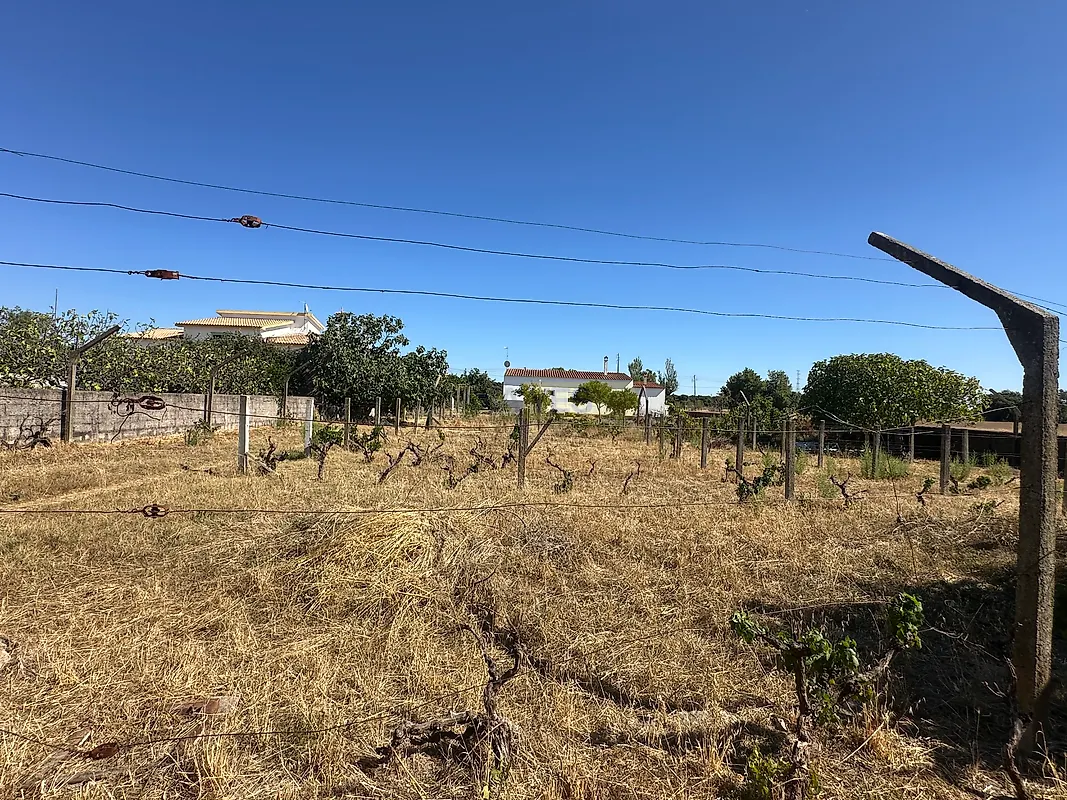 Moradia T2 à venda em Alcains, Castelo Branco — foto 26