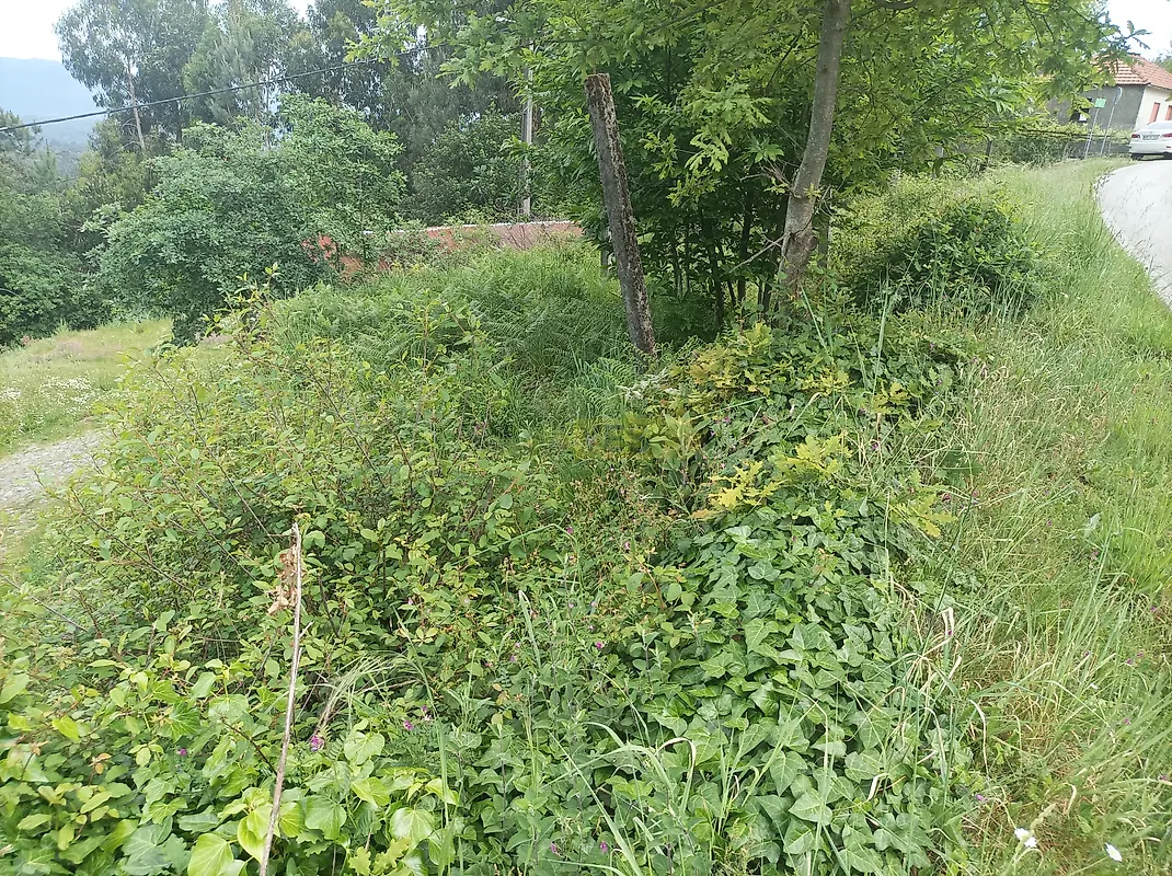 Moradia T2 à venda em Junqueira, Vale de Cambra — foto 9