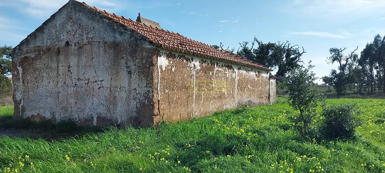 Apartamento T0 à venda em Grândola e Santa Margarida da Serra, Grândola — foto 6