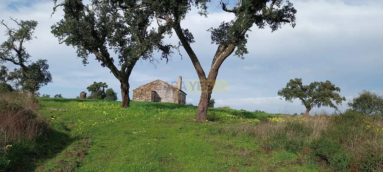 Apartamento T0 à venda em Grândola e Santa Margarida da Serra, Grândola — foto 7