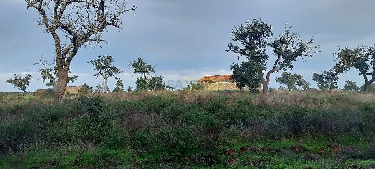 Apartamento T0 à venda em Grândola e Santa Margarida da Serra, Grândola — foto 9