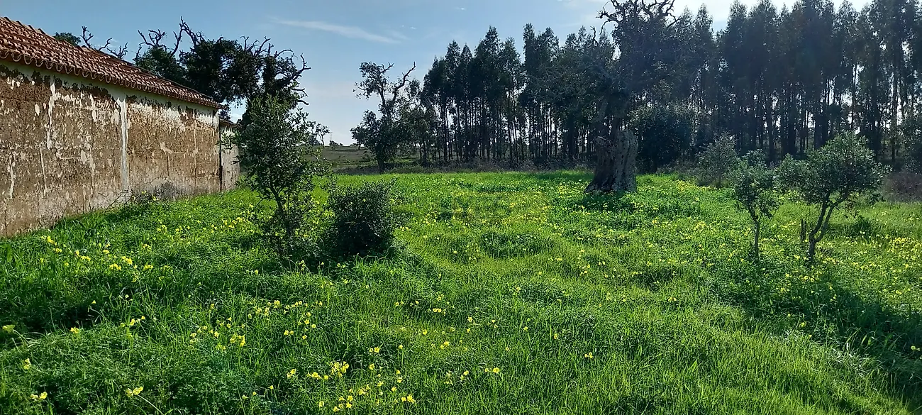 Apartamento T0 à venda em Grândola e Santa Margarida da Serra, Grândola — foto 11