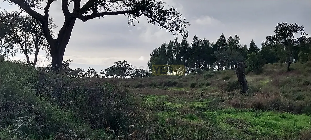Apartamento T0 à venda em Grândola e Santa Margarida da Serra, Grândola — foto 14