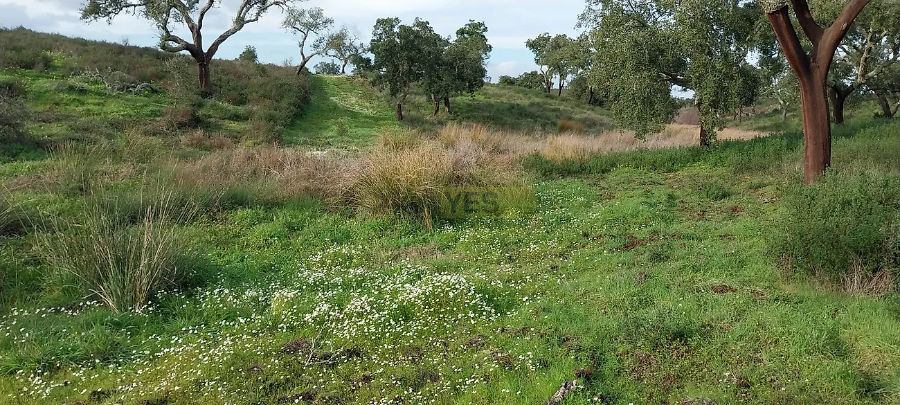 Apartamento T0 à venda em Grândola e Santa Margarida da Serra, Grândola — foto 15
