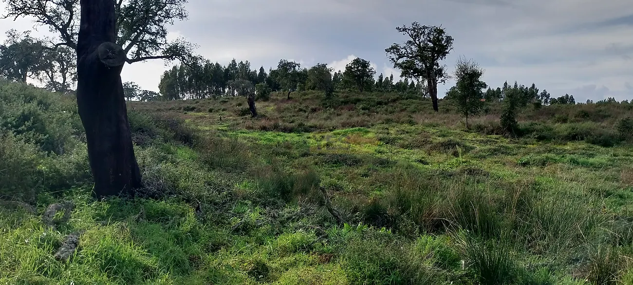 Apartamento T0 à venda em Grândola e Santa Margarida da Serra, Grândola — foto 17