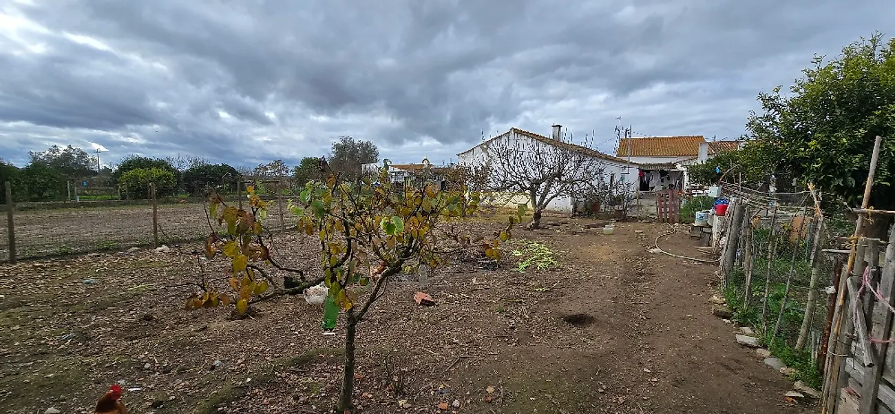 Moradia T0 à venda em Ermidas-Sado, Santiago do Cacém — foto 31