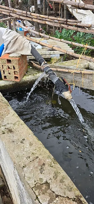 Moradia T0 à venda em Ermidas-Sado, Santiago do Cacém — foto 33