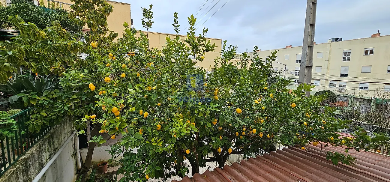 Moradia T2 à venda em Alverca do Ribatejo e Sobralinho, Vila Franca de Xira — foto 26