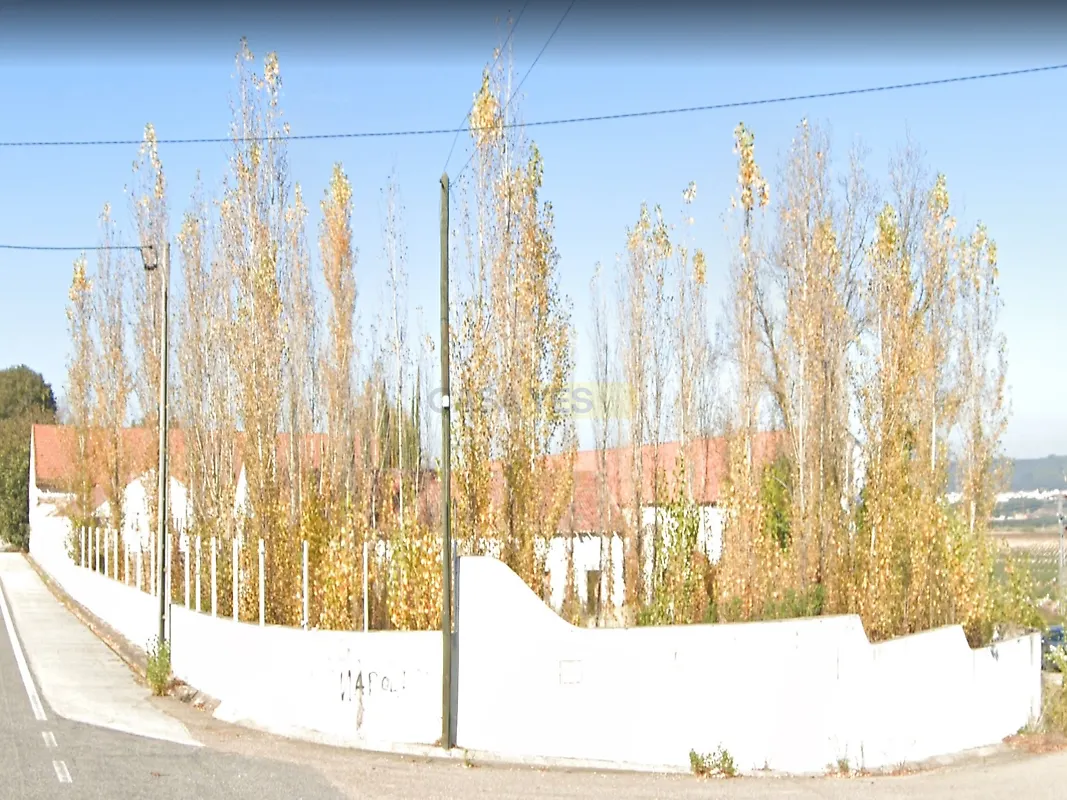 Moradia T6+ à venda em Santa Margarida da Coutada, Constância — foto 6
