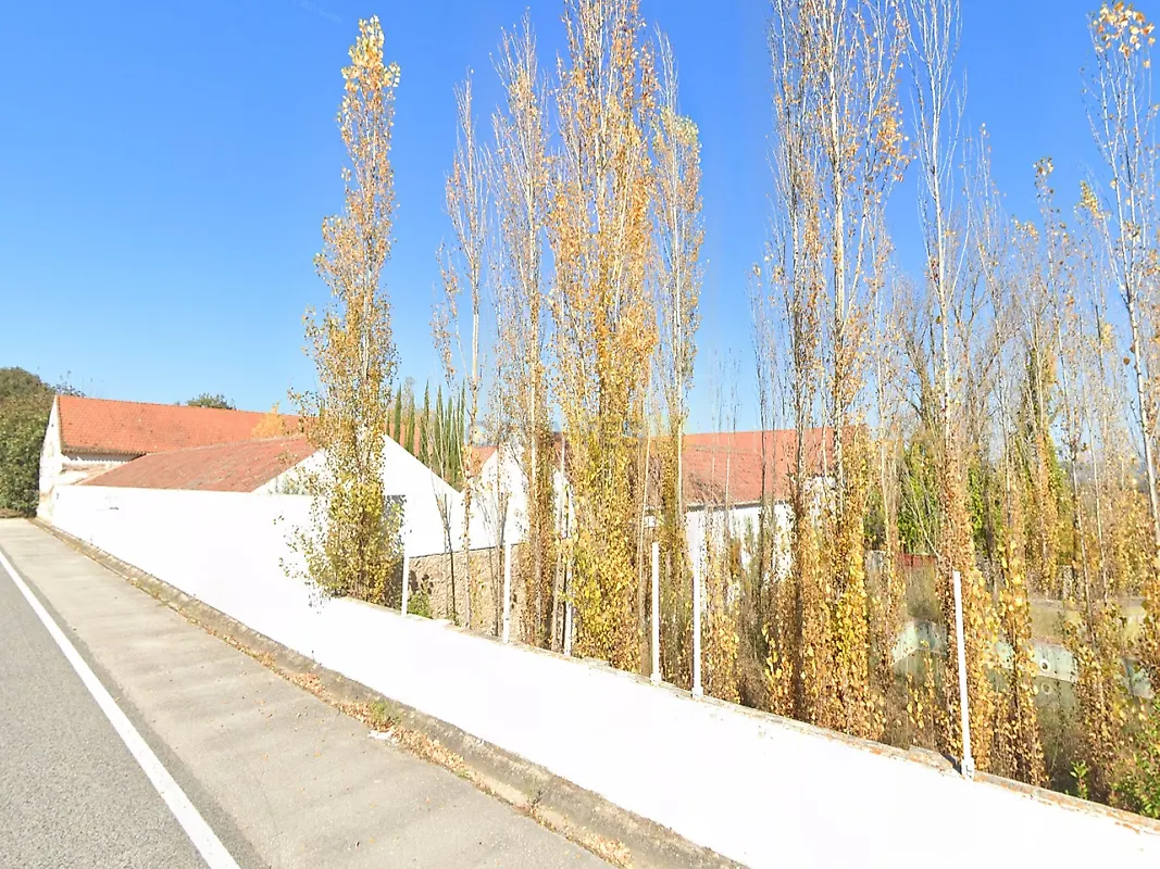 Moradia T6+ à venda em Santa Margarida da Coutada, Constância — foto 8