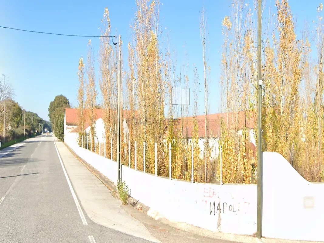 Moradia T6+ à venda em Santa Margarida da Coutada, Constância — foto 9