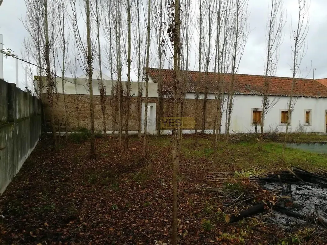 Moradia T6+ à venda em Santa Margarida da Coutada, Constância — foto 5