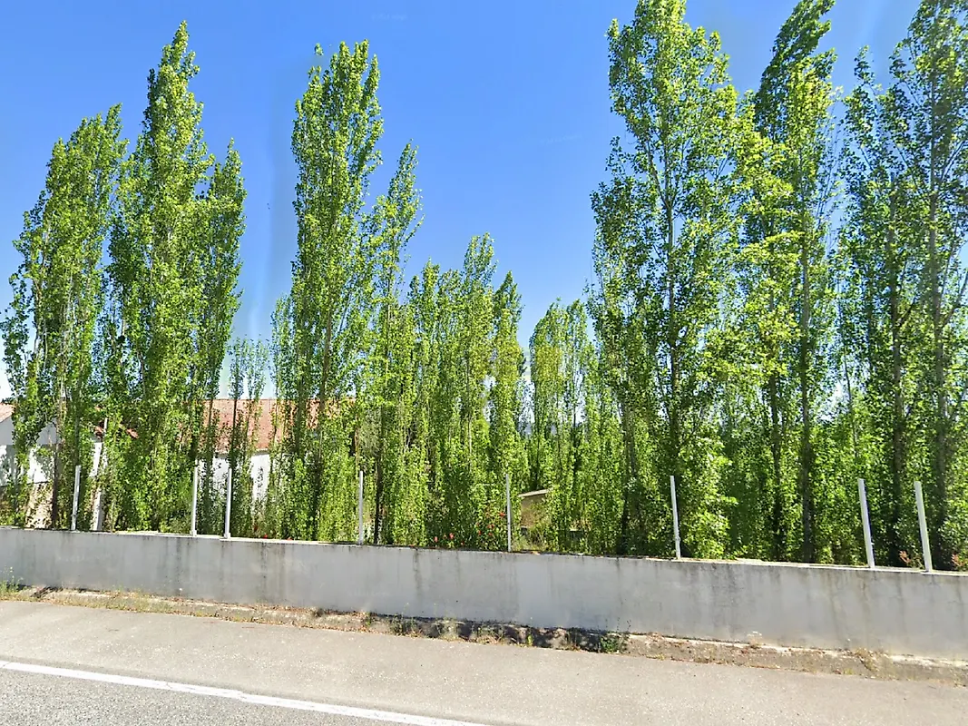 Moradia T6+ à venda em Santa Margarida da Coutada, Constância — foto 18