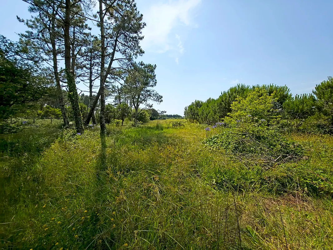 Moradia T3 à venda em Belinho e Mar, Esposende — foto 34