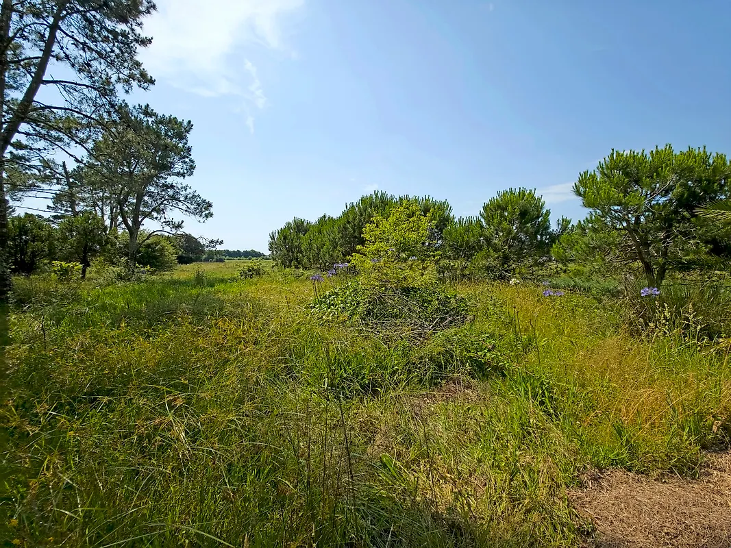 Moradia T3 à venda em Belinho e Mar, Esposende — foto 35