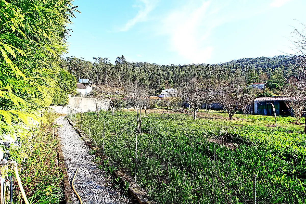 Moradia T4 à venda em Vila Franca, Viana do Castelo — foto 31