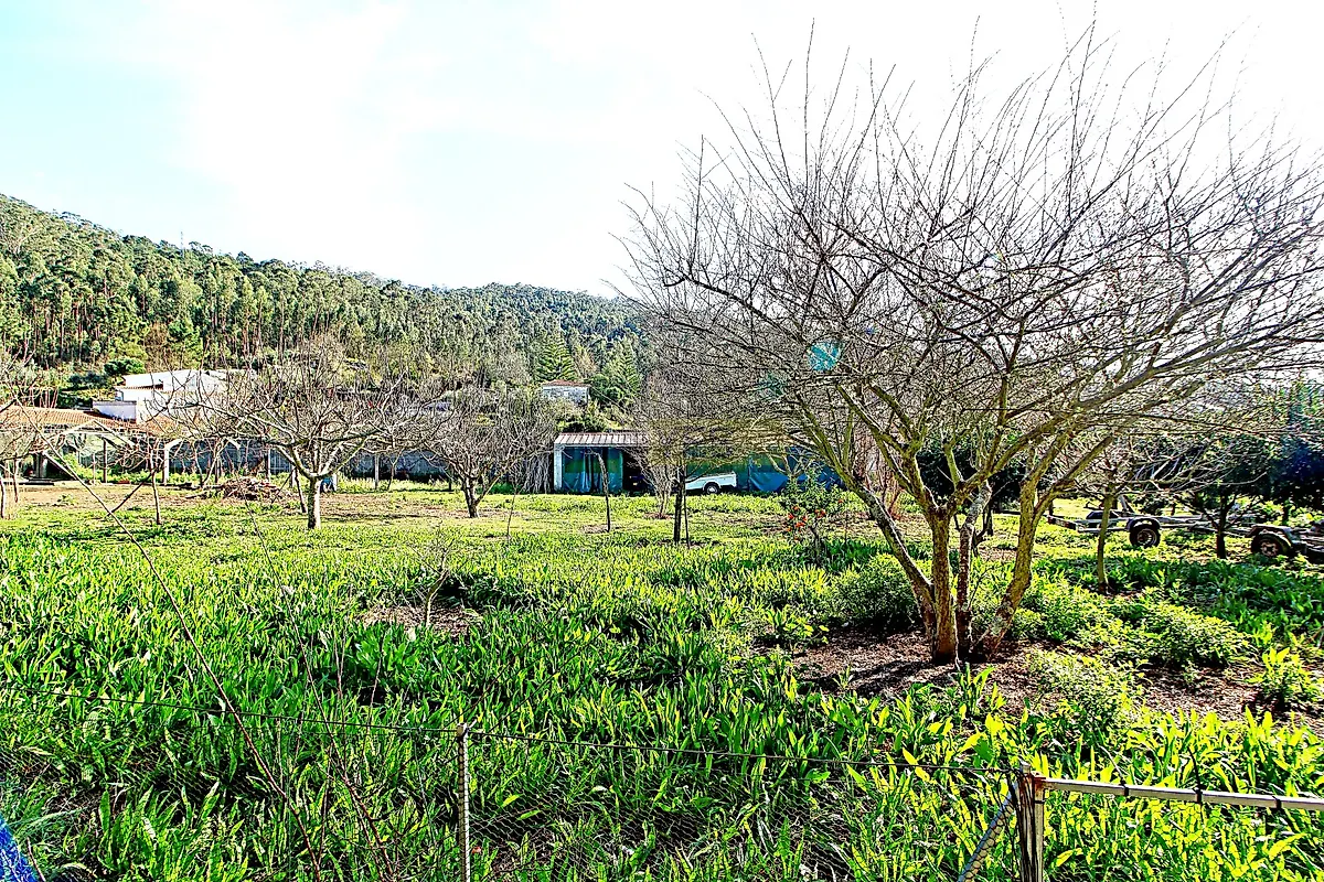 Moradia T4 à venda em Vila Franca, Viana do Castelo — foto 33
