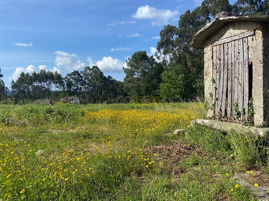 Moradia T4 à venda em Reboreda e Nogueira, Vila Nova de Cerveira — foto 4