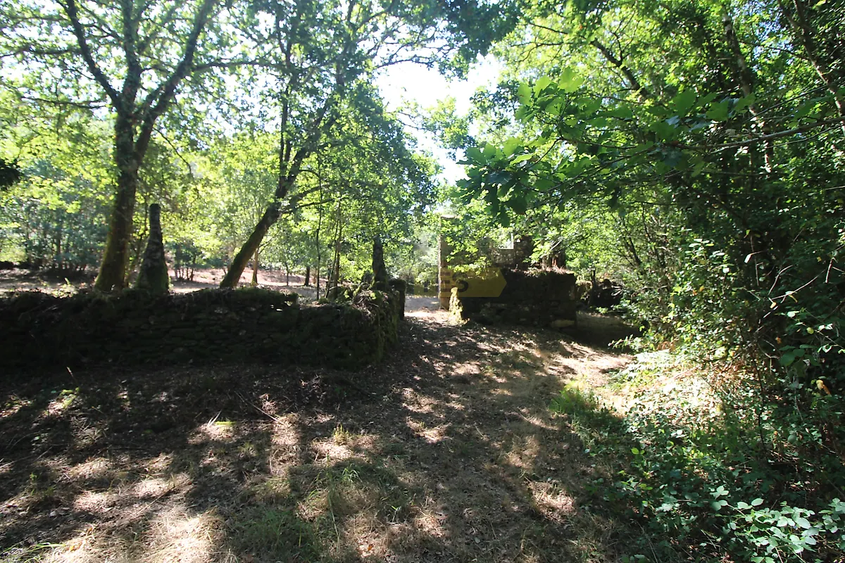 Moradia T3 à venda em Coura, Paredes de Coura — foto 3