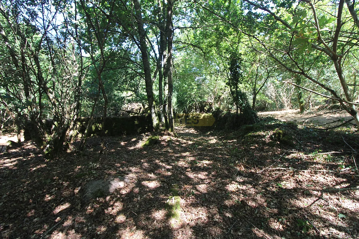 Moradia T3 à venda em Coura, Paredes de Coura — foto 8