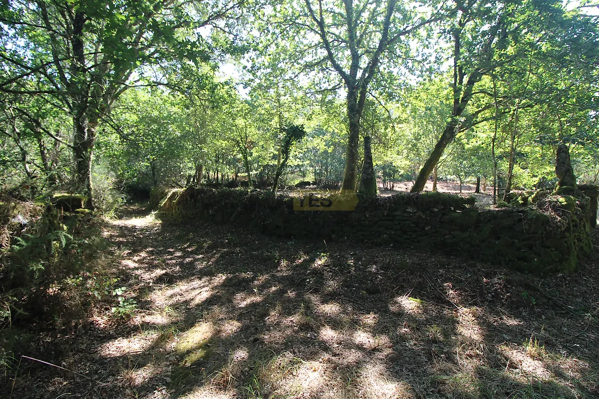 Moradia T3 à venda em Coura, Paredes de Coura — foto 10