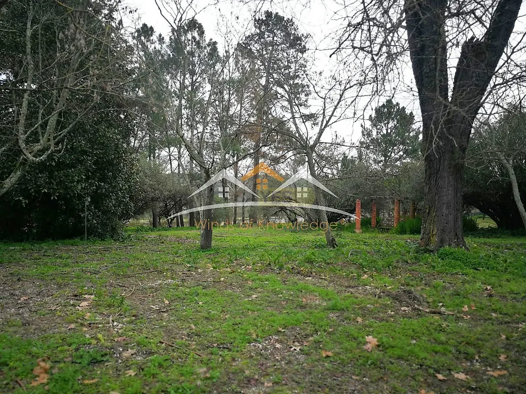 Moradia T5 à venda em Tramagal, Abrantes — foto 11