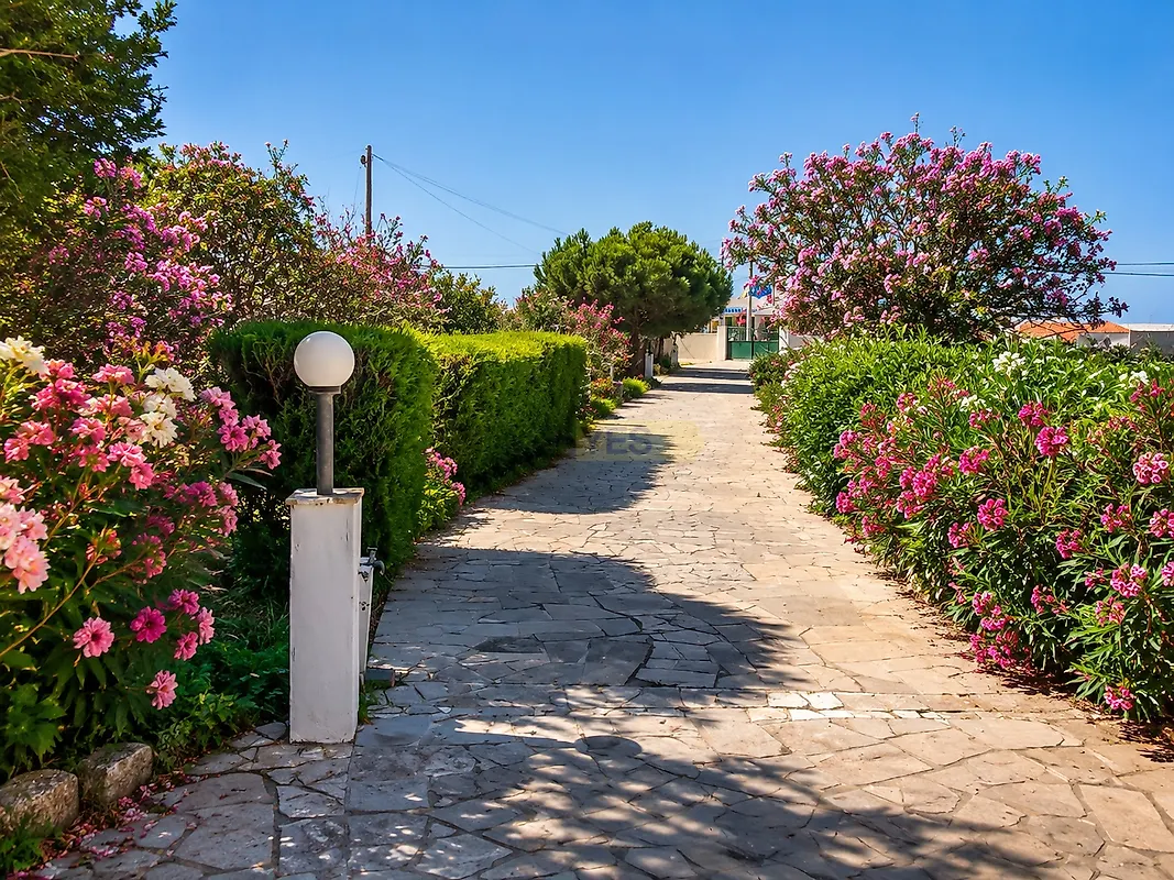 Apartamento T0 à venda em Sagres, Vila do Bispo — foto 6