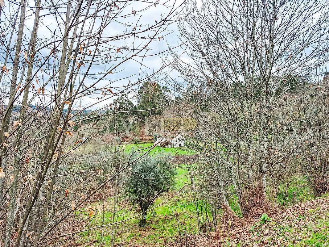 Moradia T3 à venda em São Miguel do Mato, Vouzela — foto 27