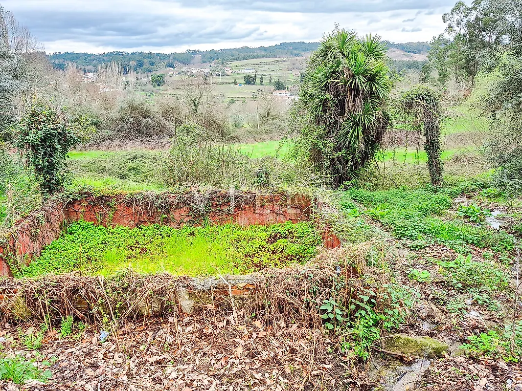 Moradia T3 à venda em São Miguel do Mato, Vouzela — foto 21