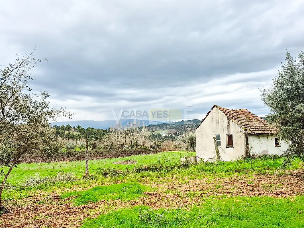 Moradia T3 à venda em São Miguel do Mato, Vouzela — foto 19