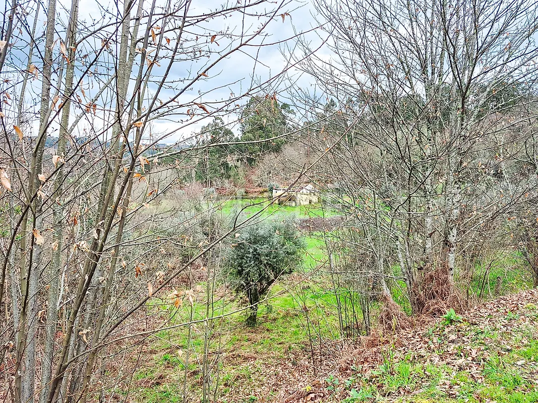 Moradia T3 à venda em São Miguel do Mato, Vouzela — foto 24