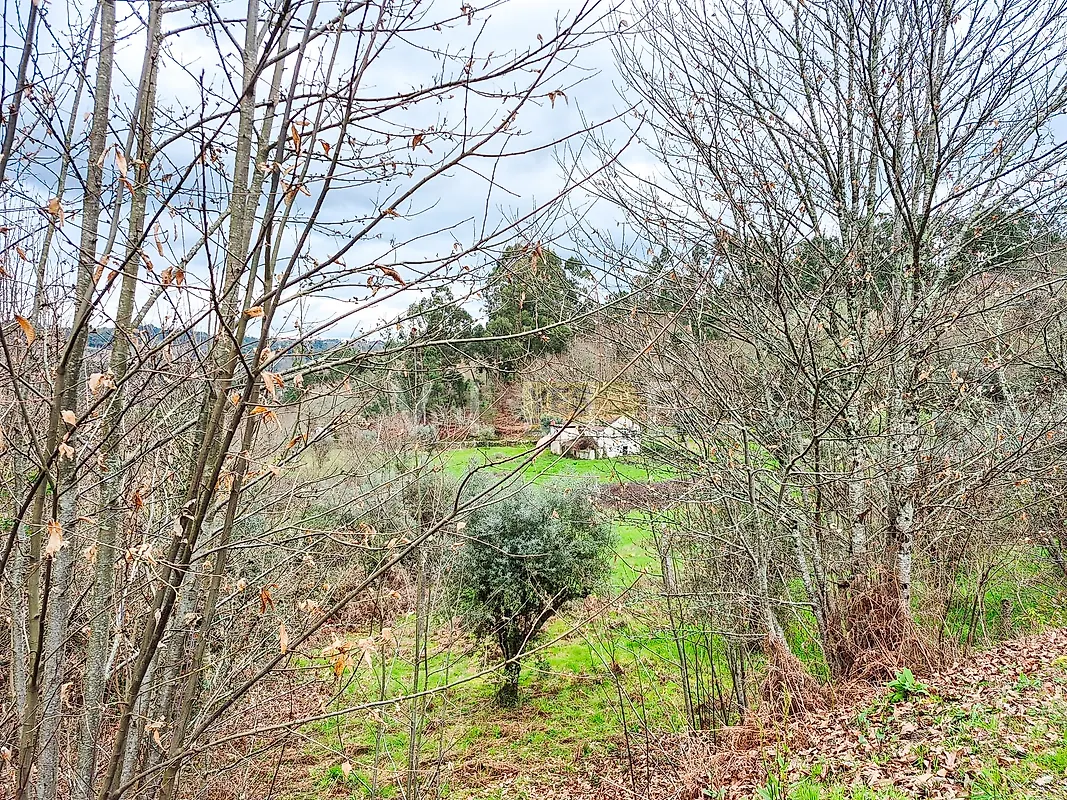Moradia T3 à venda em São Miguel do Mato, Vouzela — foto 26