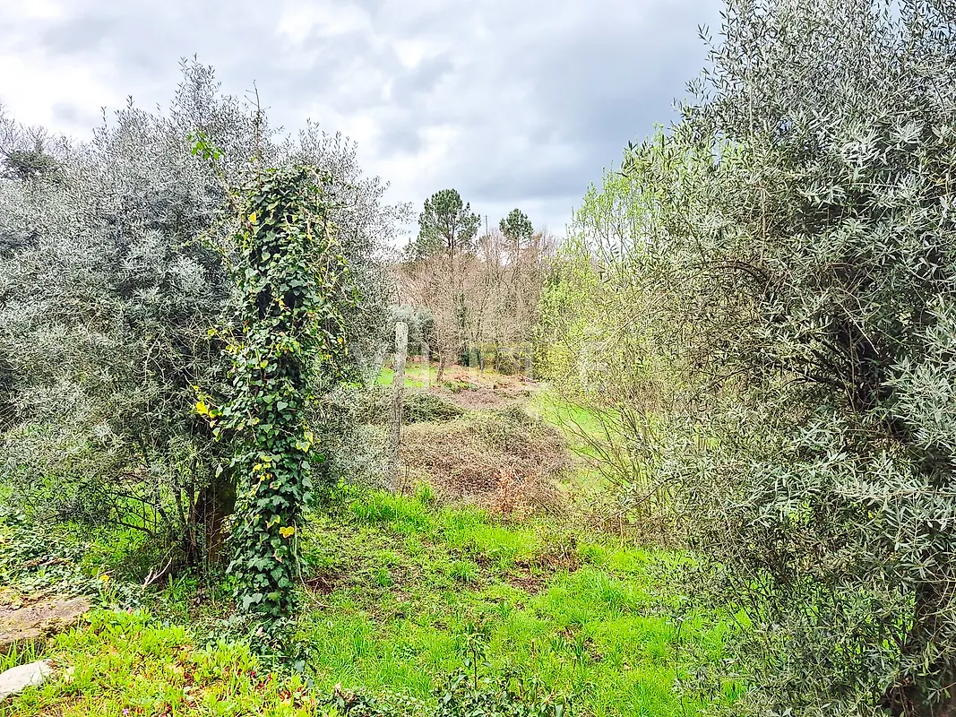 Moradia T3 à venda em São Miguel do Mato, Vouzela — foto 23