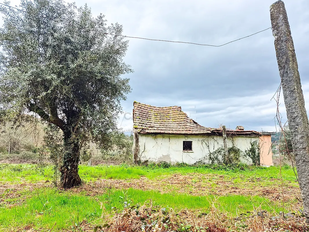 Moradia T3 à venda em São Miguel do Mato, Vouzela — foto 7
