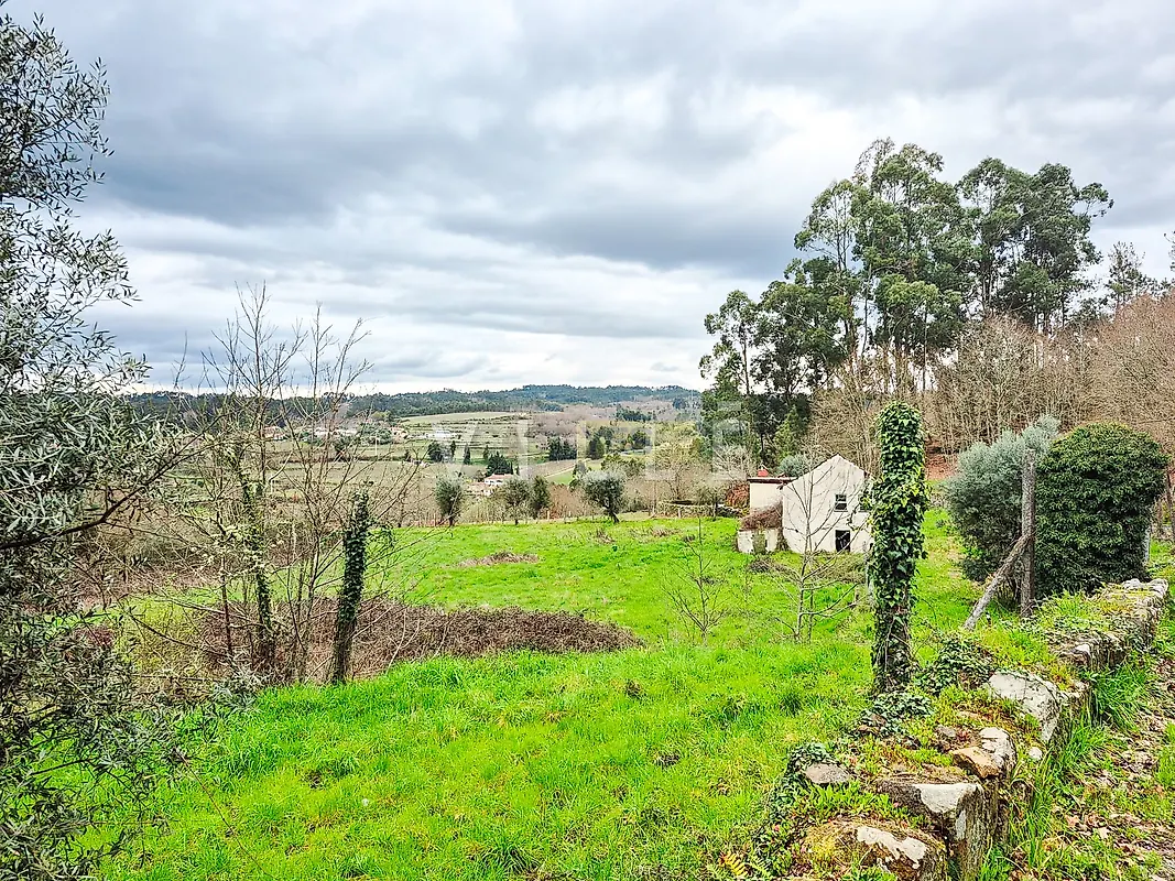 Moradia T3 à venda em São Miguel do Mato, Vouzela — foto 5