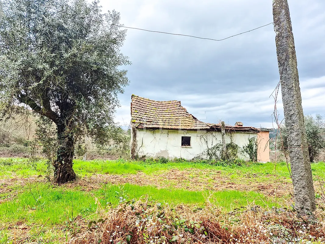 Moradia T3 à venda em São Miguel do Mato, Vouzela — foto 17