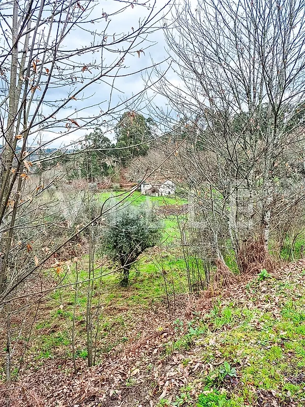 Moradia T3 à venda em São Miguel do Mato, Vouzela — foto 25