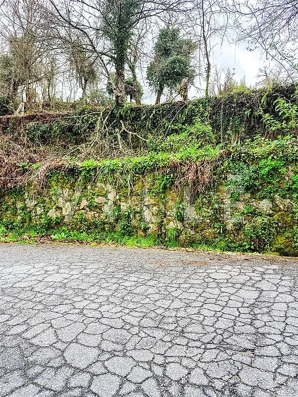 Moradia T3 à venda em São Miguel do Mato, Vouzela — foto 22
