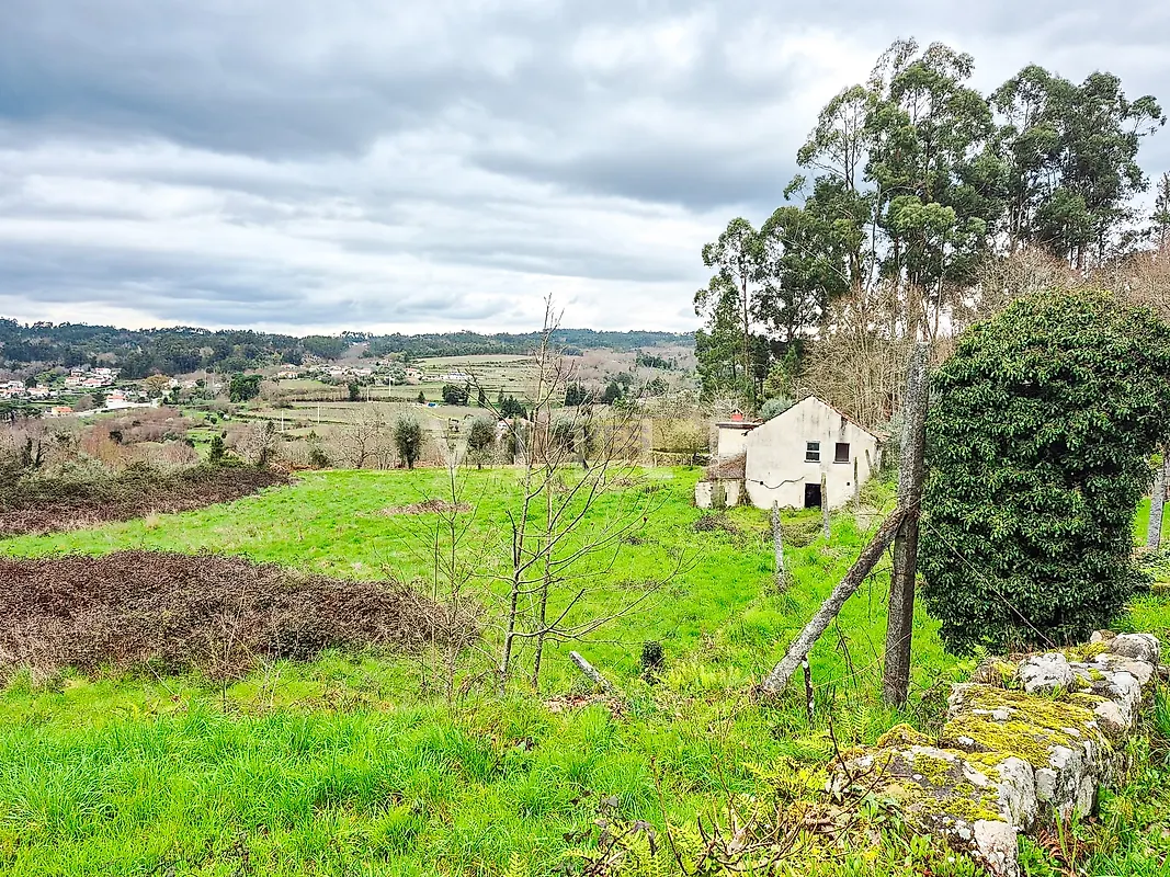 Moradia T3 à venda em São Miguel do Mato, Vouzela — foto 20