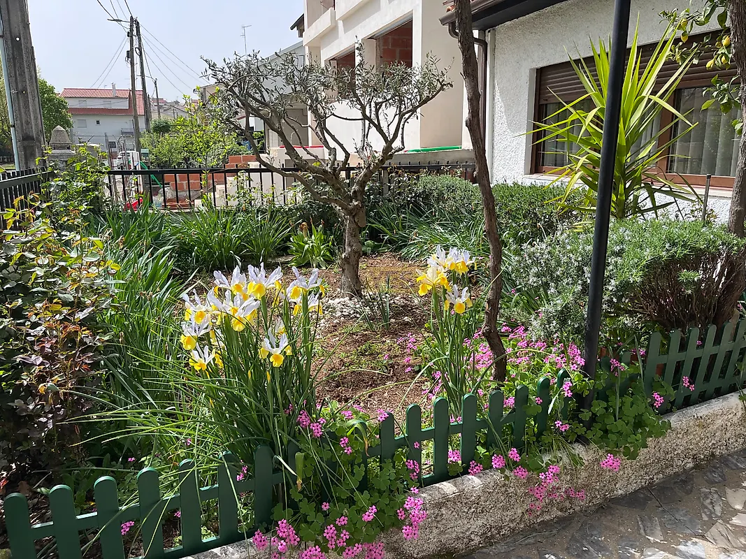Moradia T0 à venda em Sé, Santa Maria e Meixedo, Bragança — foto 5