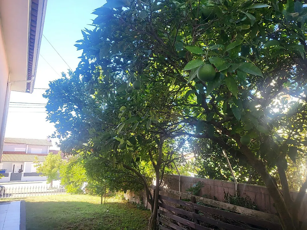 Moradia T4 à venda em Águeda e Borralha, Águeda — foto 13