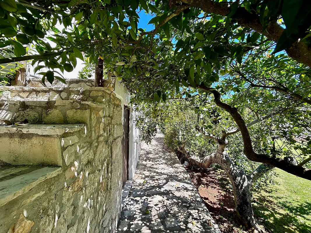 Moradia T5 à venda em Minde, Alcanena — foto 15