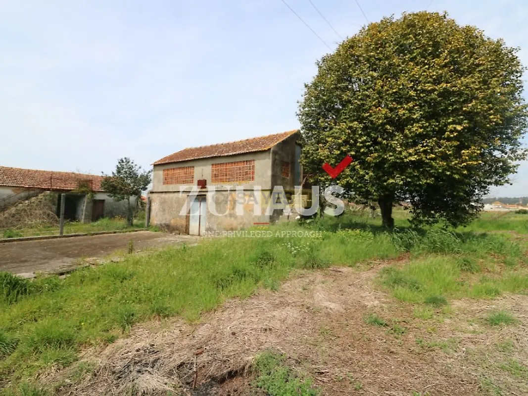 Moradia T0 à venda em Loureiro, Oliveira de Azeméis — foto 8