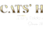 office-cats-house